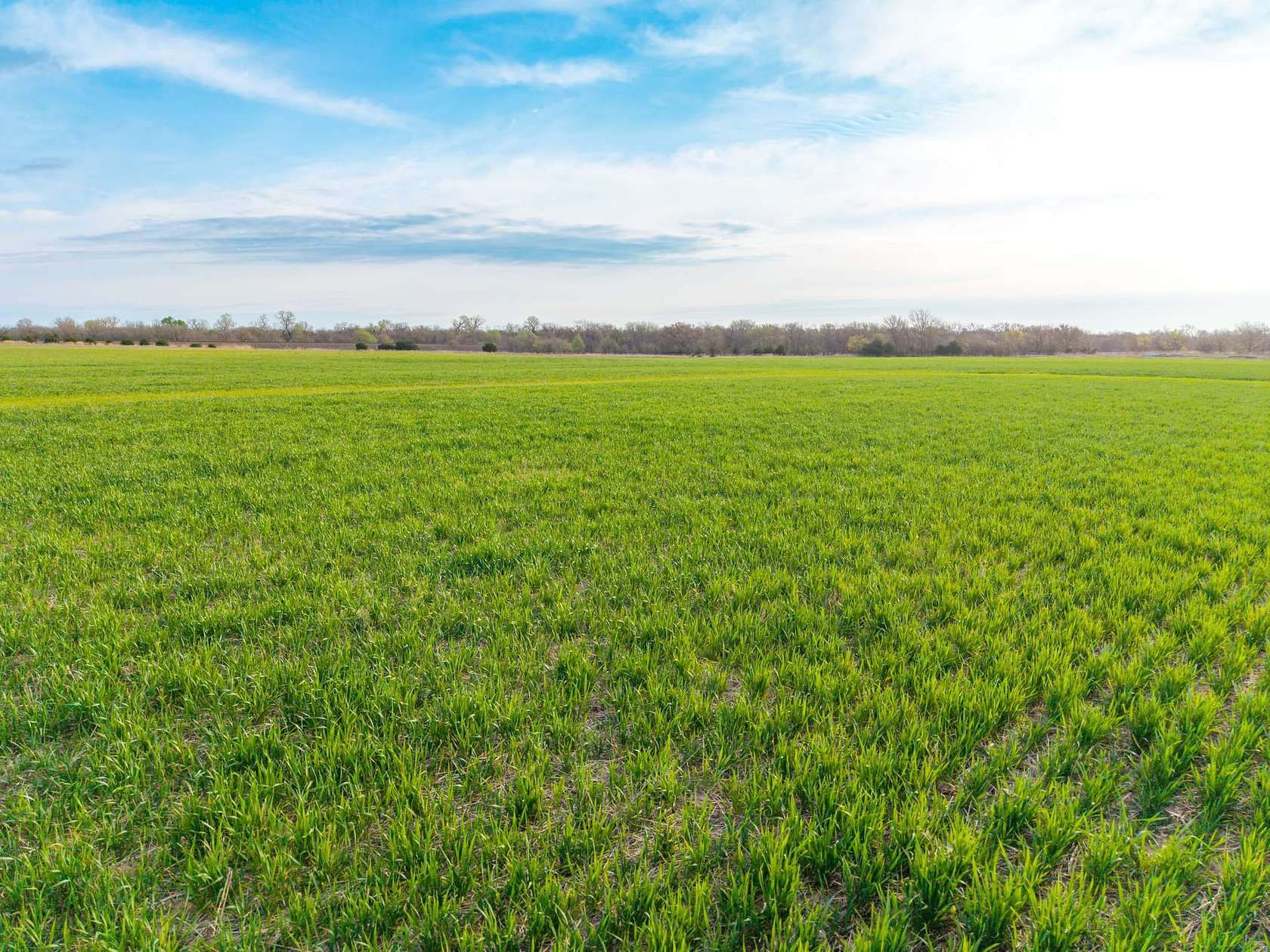 141 Acres of Land for Sale in Argonia, Kansas