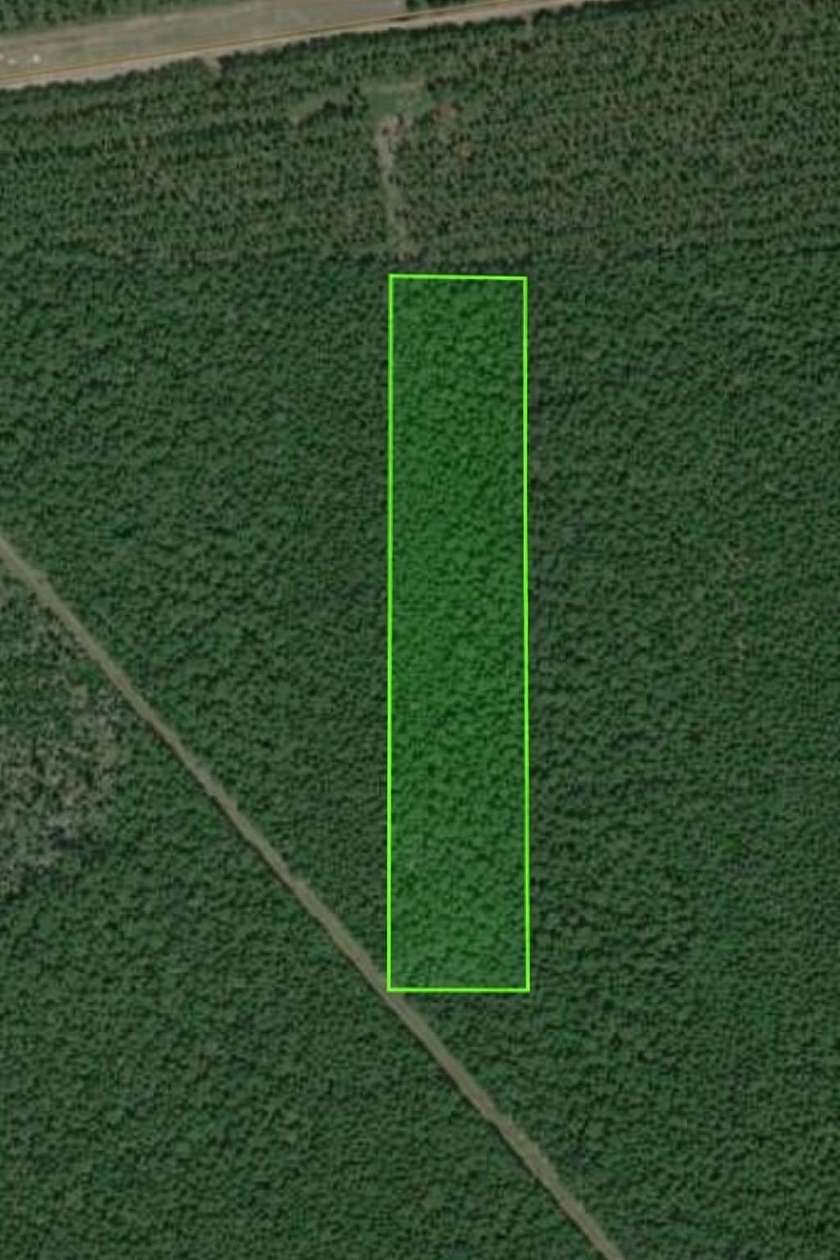 22.9 Acres of Recreational & Residential Land for Sale in Kountze, Texas