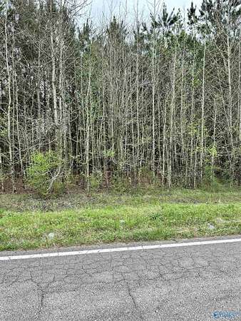 0.43 Acres of Land for Sale in Lester, Alabama