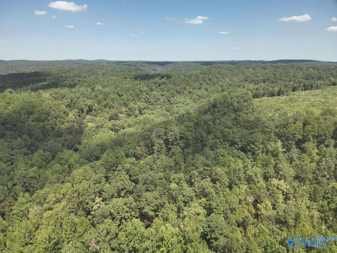 63 Acres of Land for Sale in Brookwood, Alabama
