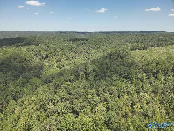 63 Acres of Land for Sale in Brookwood, Alabama