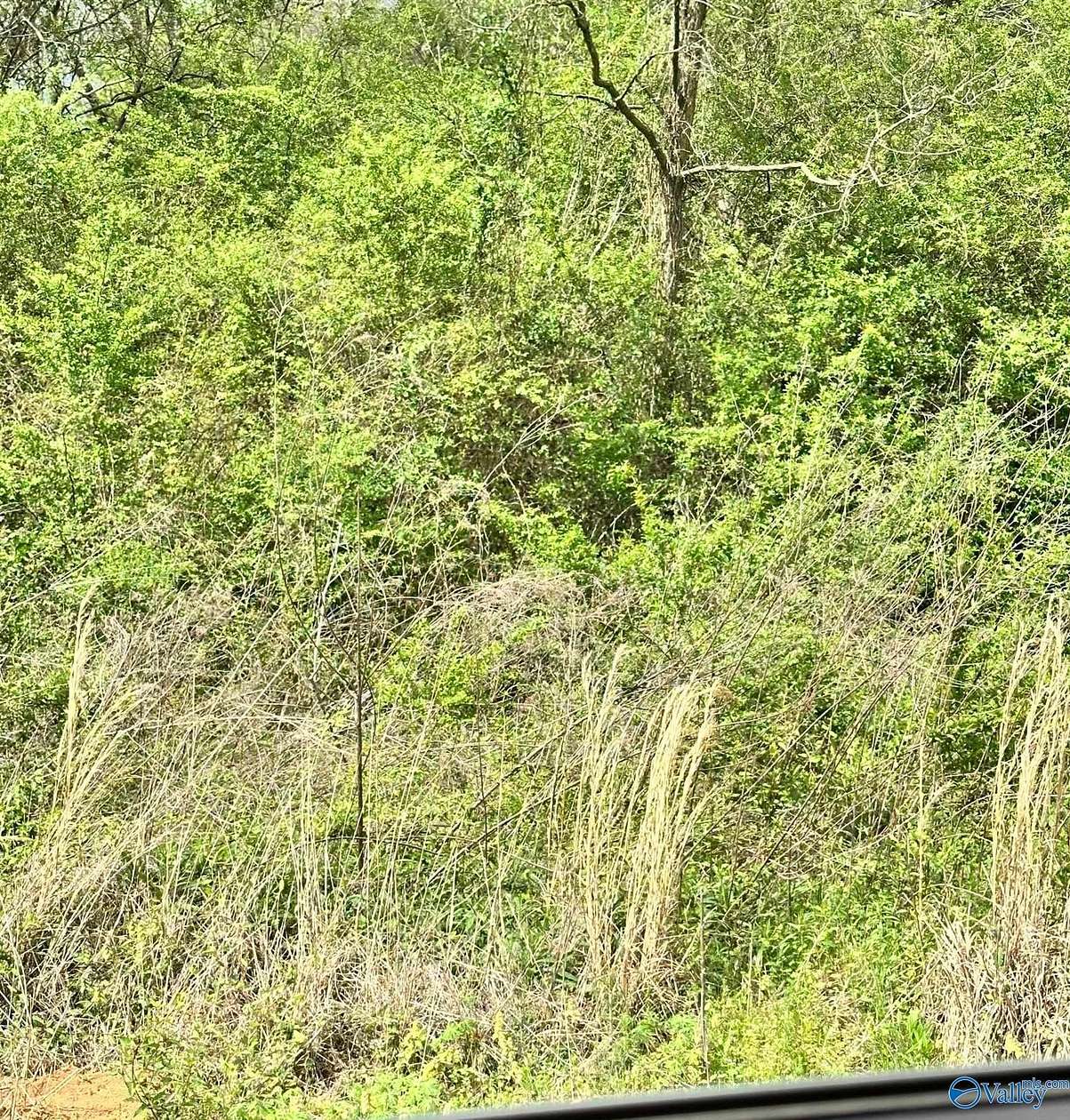 0.8 Acres of Residential Land for Sale in Lester, Alabama