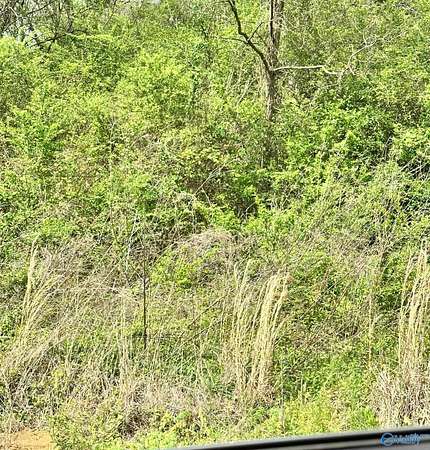 0.8 Acres of Residential Land for Sale in Lester, Alabama