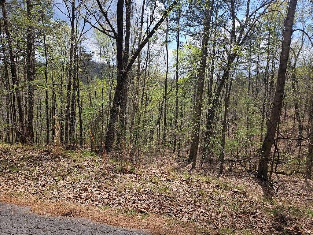 1.77 Acres of Land for Sale in Ranger, Georgia