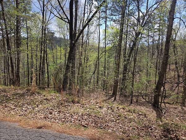 1.77 Acres of Land for Sale in Ranger, Georgia