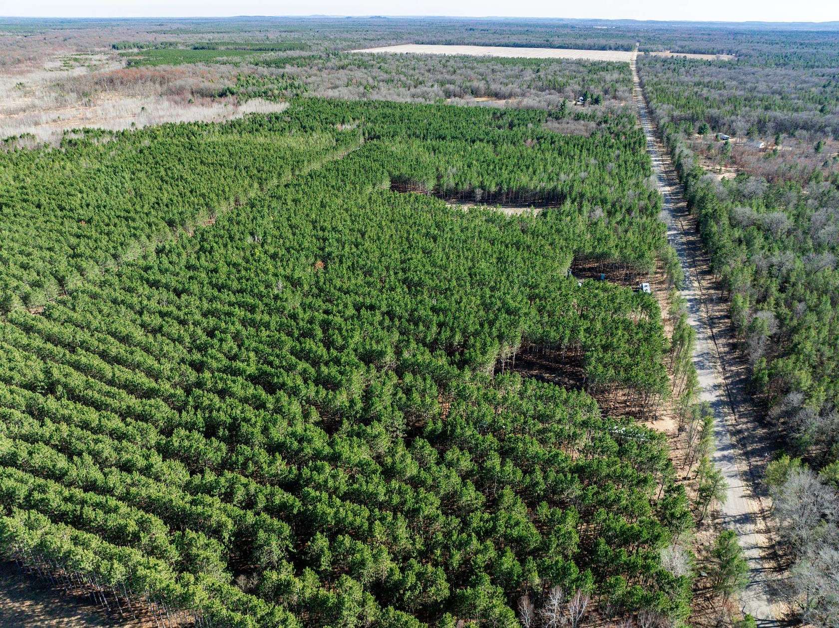 6 Acres of Residential Land for Sale in New Lisbon, Wisconsin