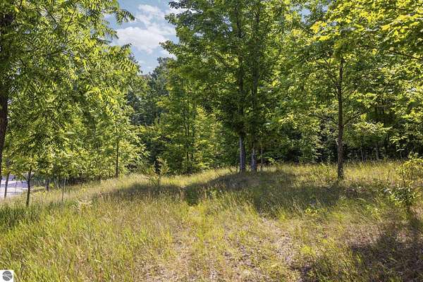 27.5 Acres of Land for Sale in Cedar, Michigan