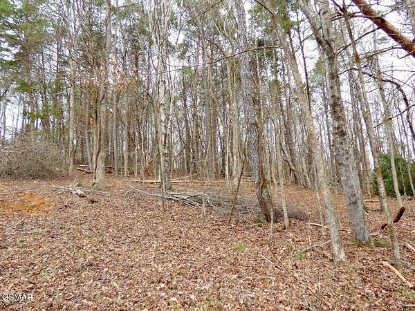 0.49 Acres of Residential Land for Sale in Baneberry, Tennessee