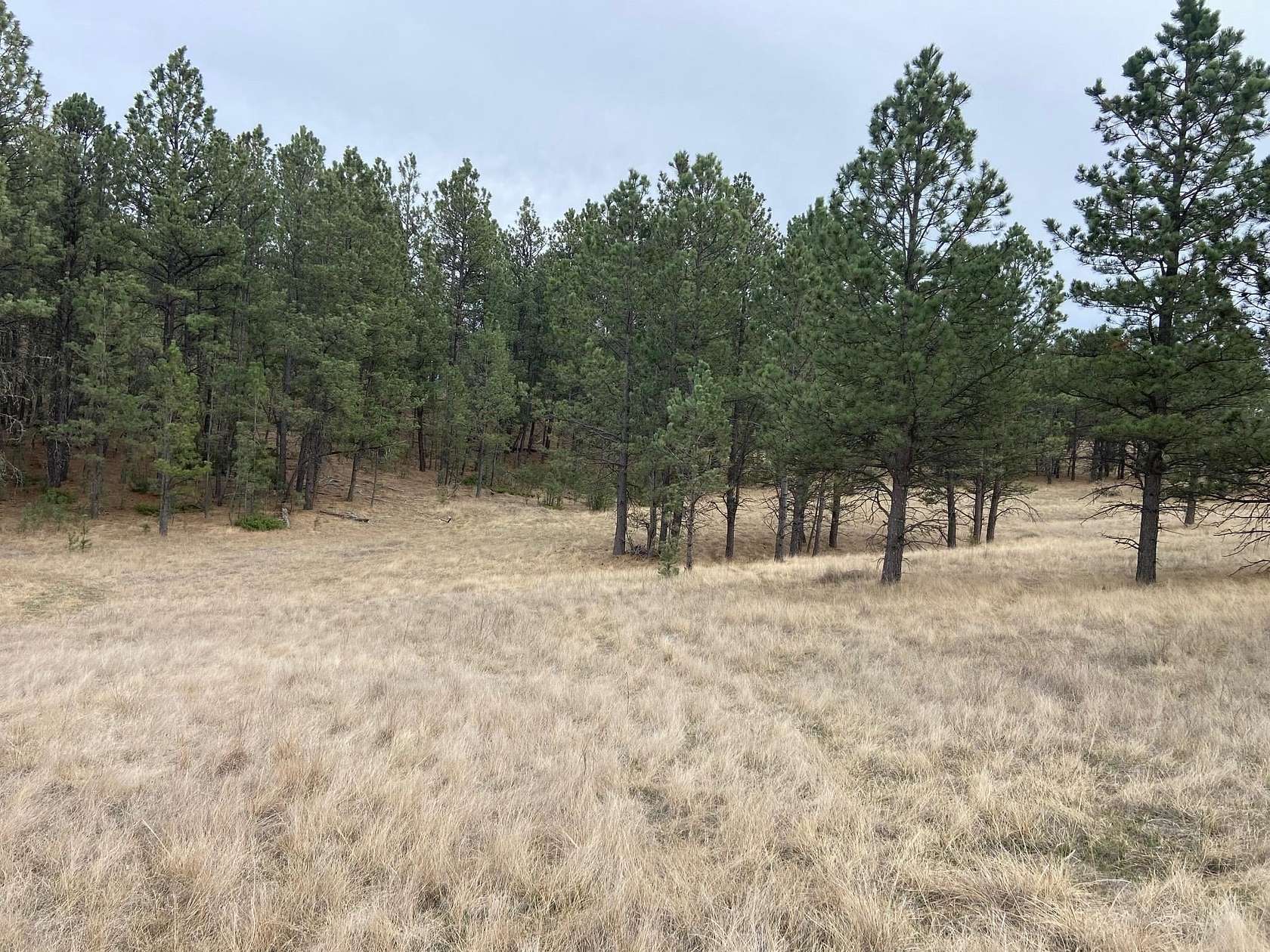 5.19 Acres of Residential Land for Sale in Hot Springs, South Dakota