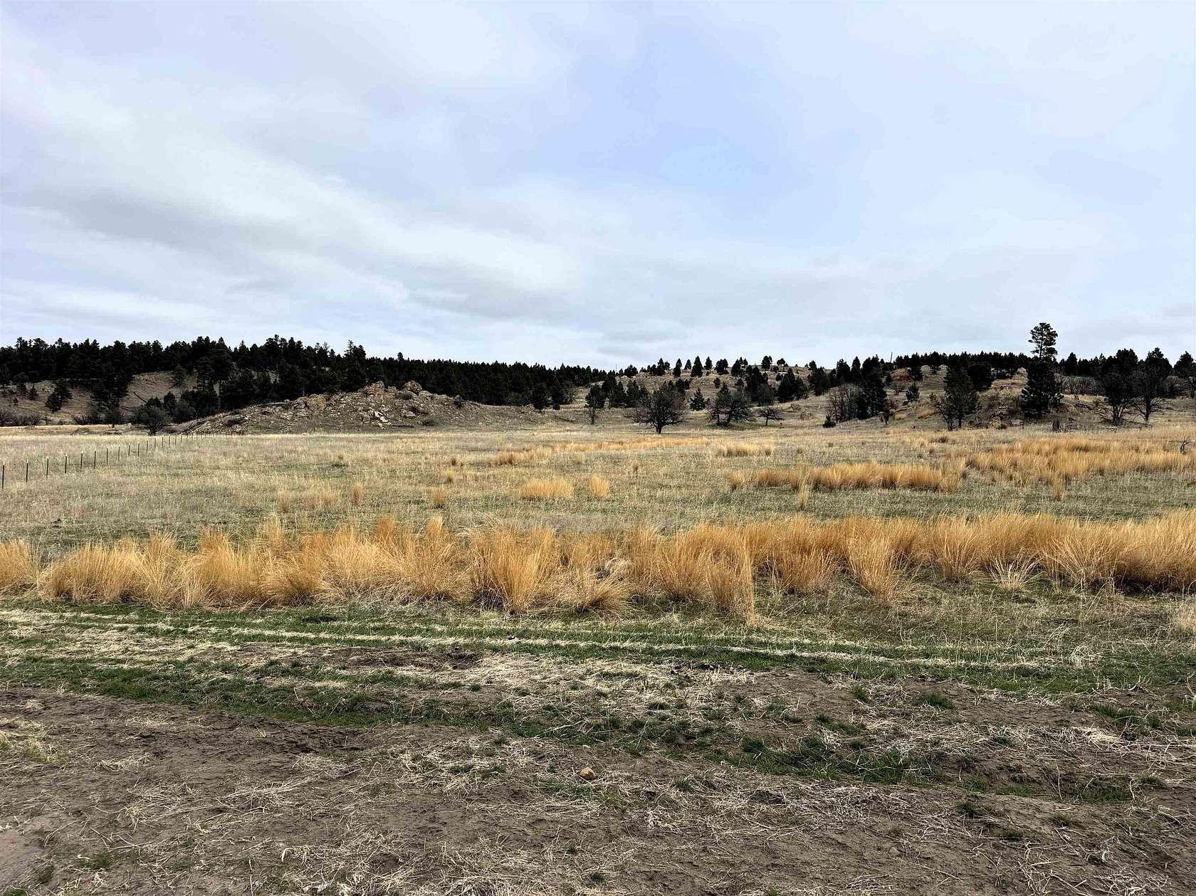 41.2 Acres of Agricultural & Residential Land for Sale in Oshoto, Wyoming