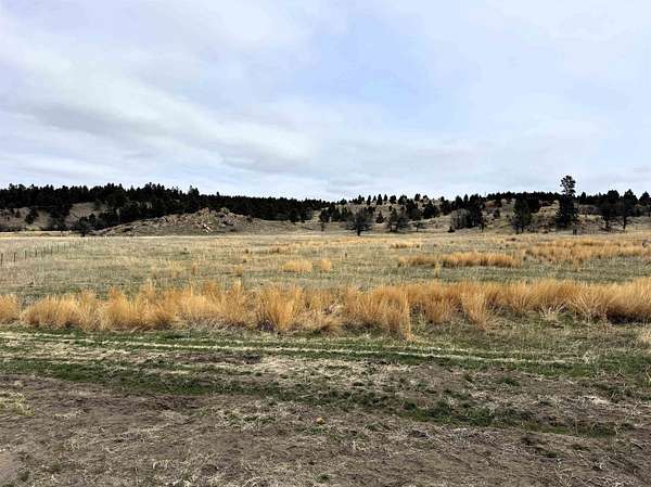 41.2 Acres of Agricultural & Residential Land for Sale in Oshoto, Wyoming