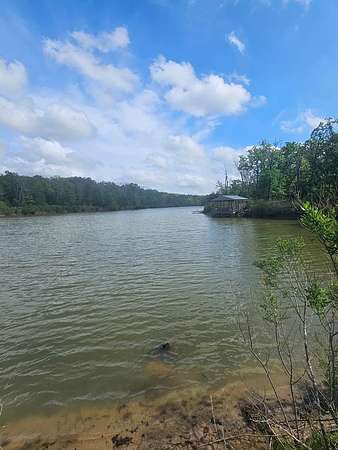 84.2 Acres of Recreational & Residential Land for Sale in Athens, Texas