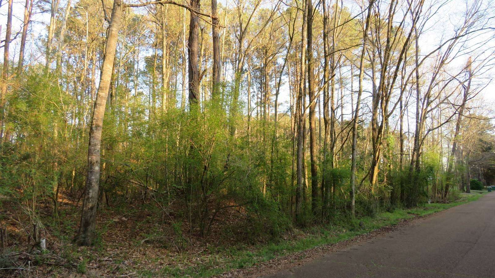 2.3 Acres of Land for Sale in Kosciusko, Mississippi