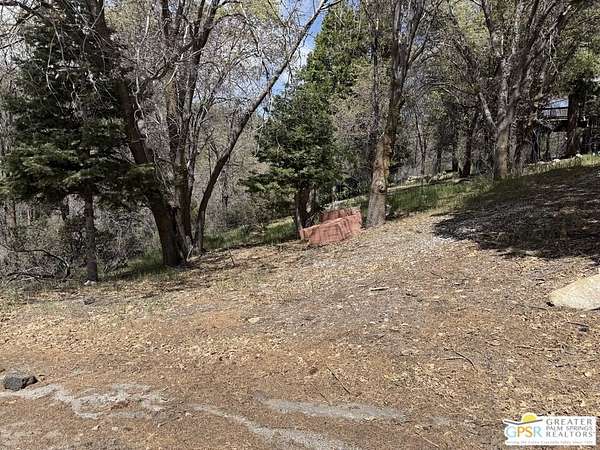 0.47 Acres of Land for Sale in Angelus Oaks, California
