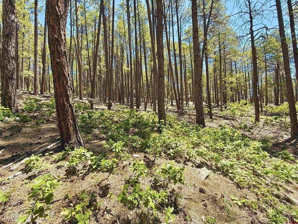 1 Acre of Land for Sale in Bayfield, Colorado