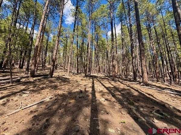 1 Acre of Residential Land for Sale in Bayfield, Colorado