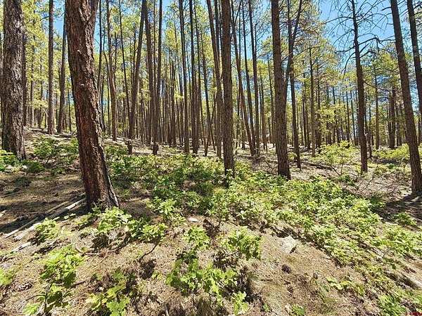 1 Acre of Land for Sale in Bayfield, Colorado