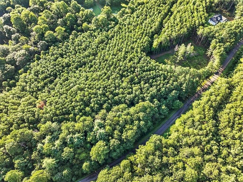 3 Acres of Residential Land for Sale in Ellijay, Georgia