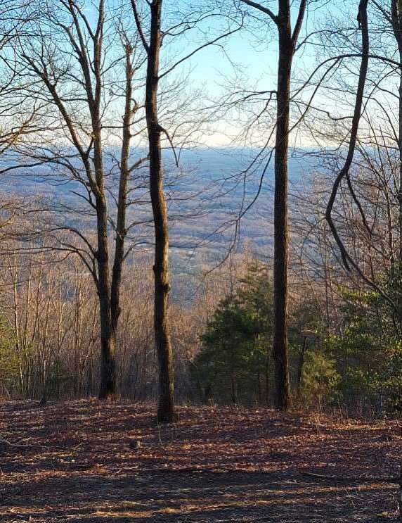 2.8 Acres of Land for Sale in Landrum, South Carolina