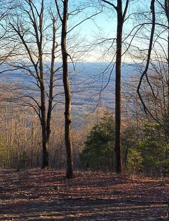 2.8 Acres of Land for Sale in Landrum, South Carolina