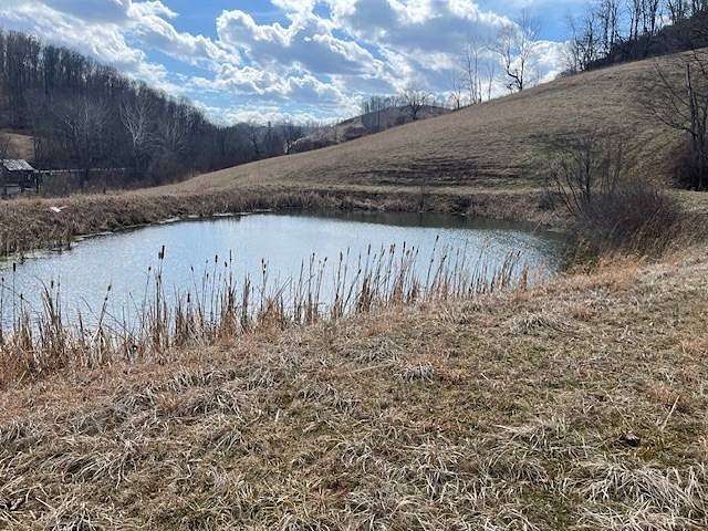 74.5 Acres of Agricultural Land with Home for Sale in Fairview, West Virginia