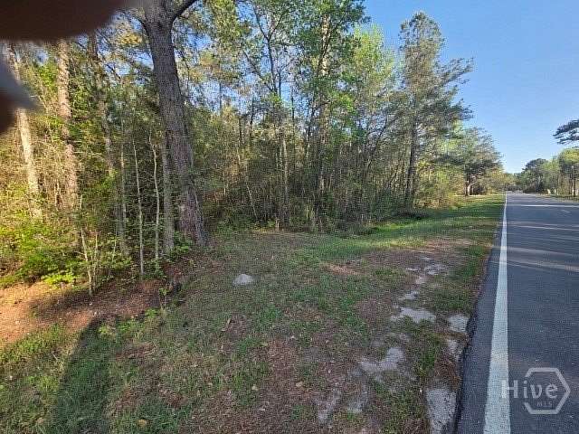 29.7 Acres of Land for Sale in Midway, Georgia