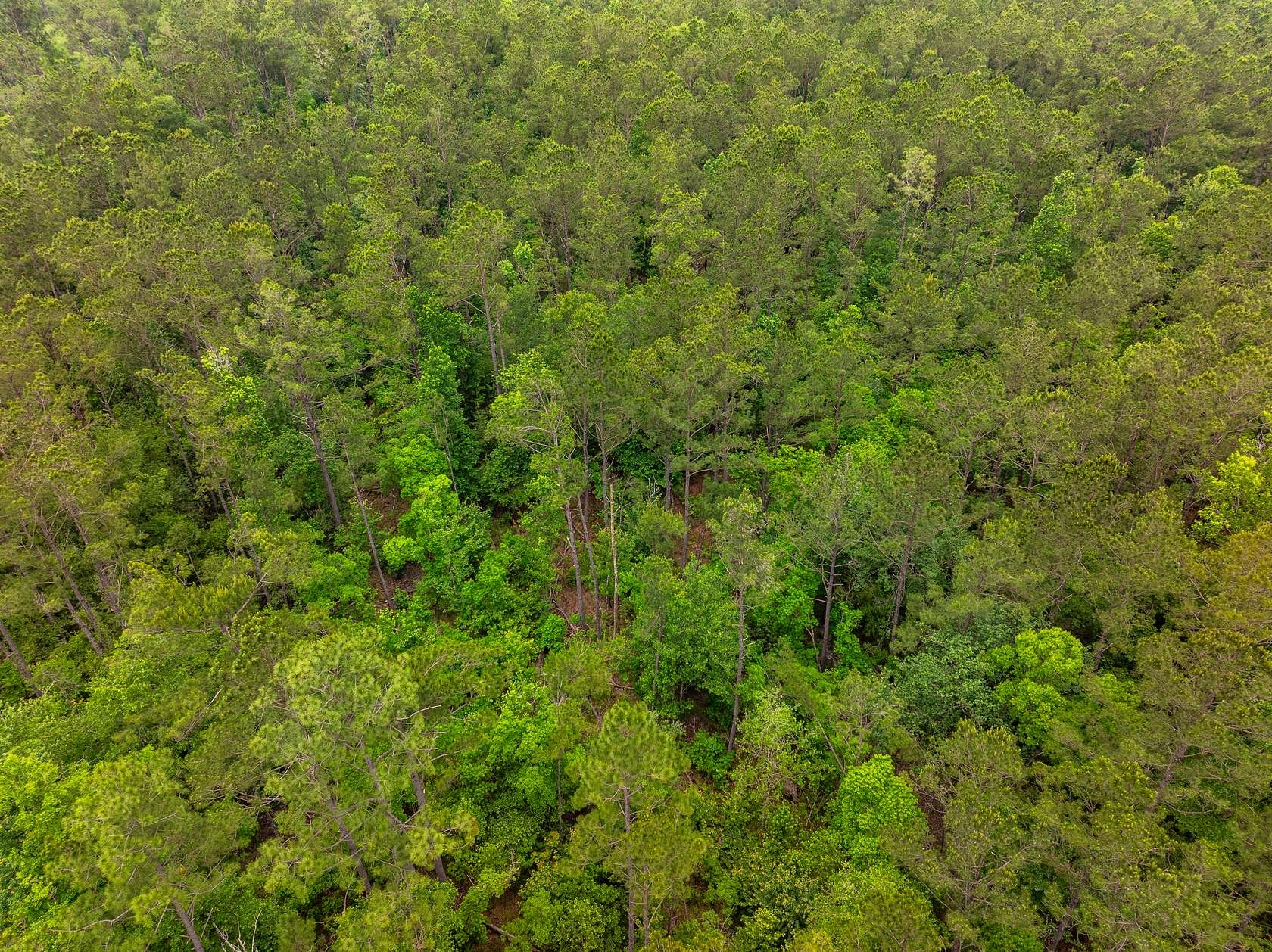 109 Acres of Land for Sale in Starks, Louisiana
