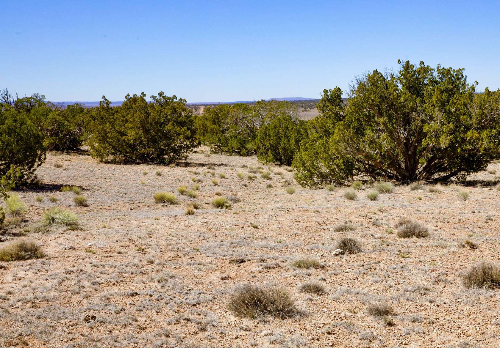 37 Acres of Recreational & Residential Land for Sale in St. Johns, Michigan