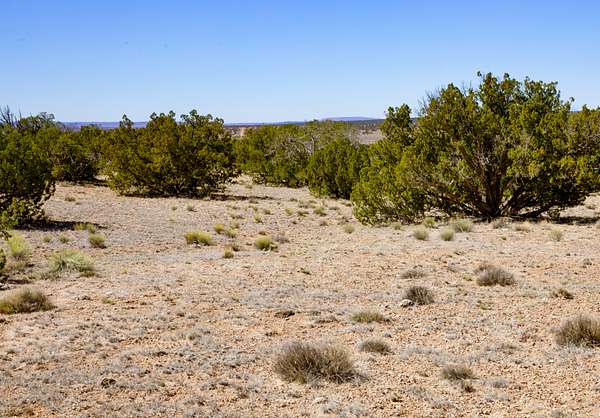 37 Acres of Recreational & Residential Land for Sale in St. Johns, Michigan