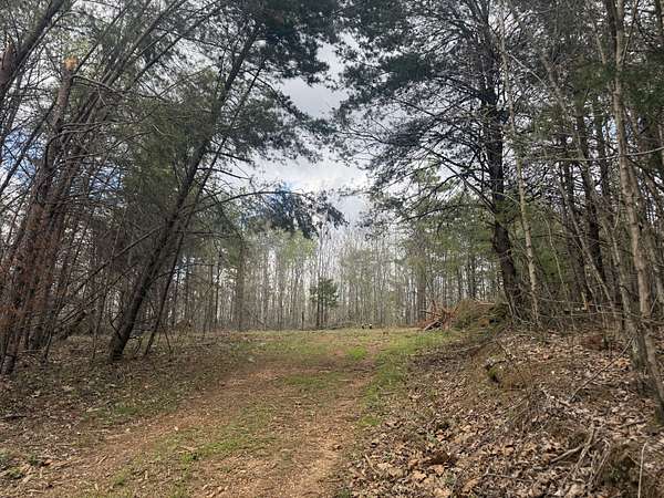 101 Acres of Recreational Land for Sale in Hohenwald, Tennessee