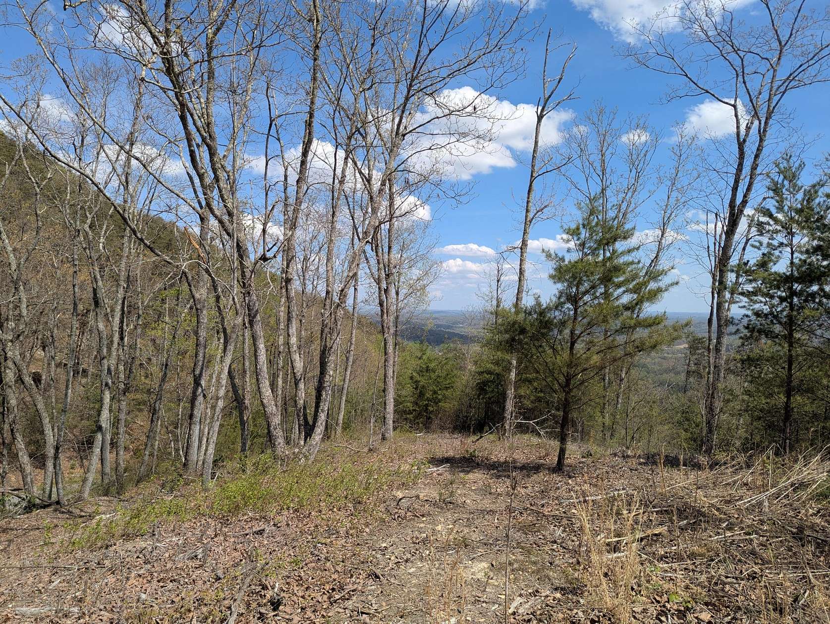 2.6 Acres of Residential Land for Sale in Evensville, Tennessee