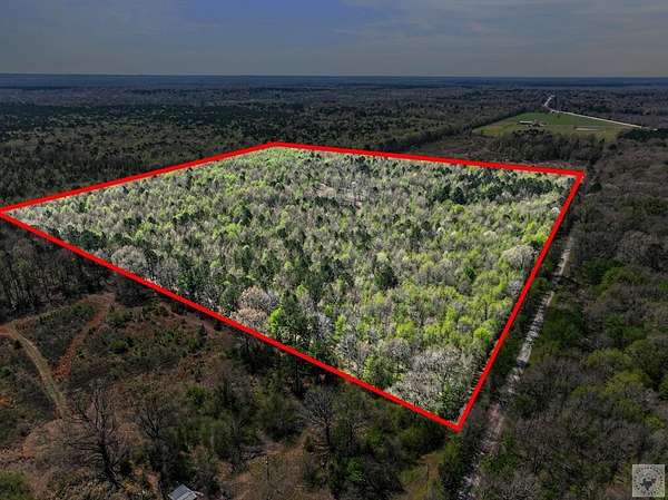 40.8 Acres of Recreational Land for Sale in Simms, Texas