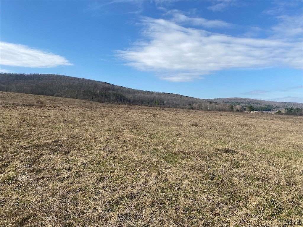 108 Acres of Land for Sale in Angelica, New York