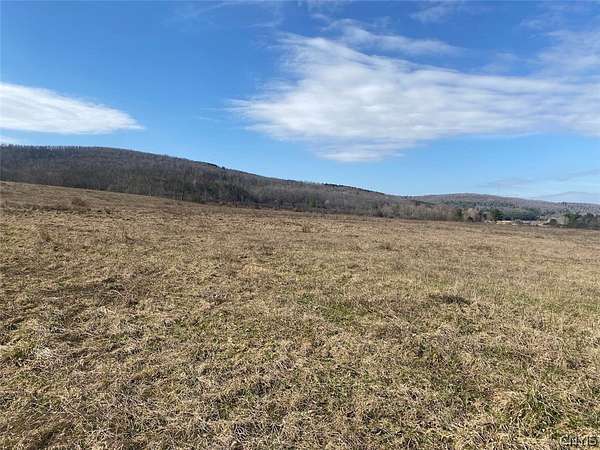 108 Acres of Land for Sale in Angelica, New York