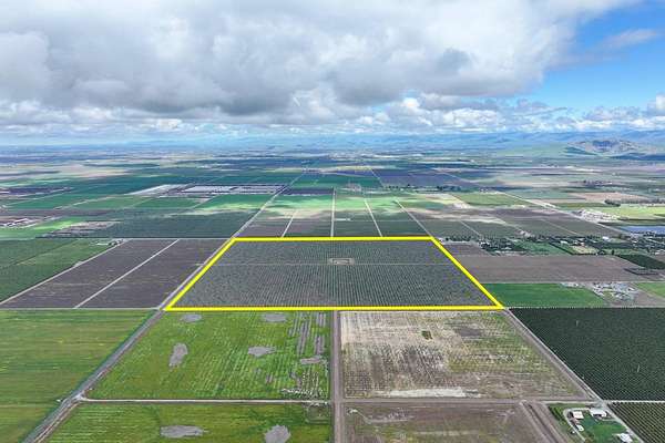 155 Acres of Land for Sale in Lindsay, California