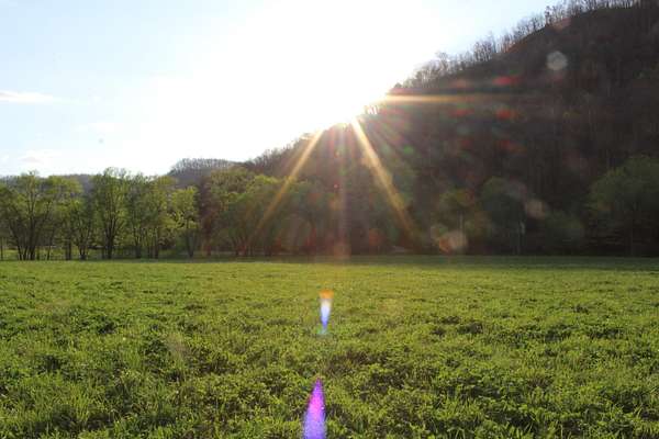 40 Acres of Land for Sale in Irvine, Kentucky