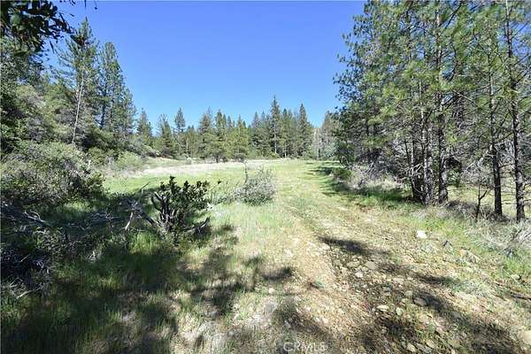 7 Acres of Land for Sale in Oroville, California