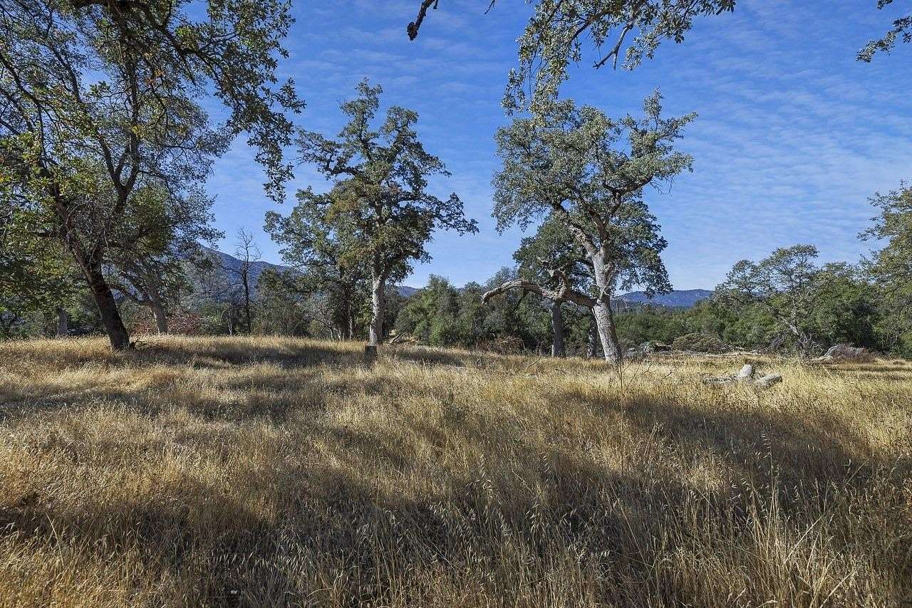 39.3 Acres of Recreational & Residential Land for Sale in Oakhurst, California