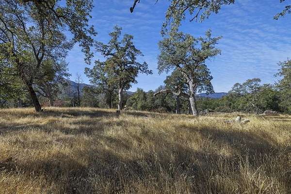39.3 Acres of Recreational & Residential Land for Sale in Oakhurst, California