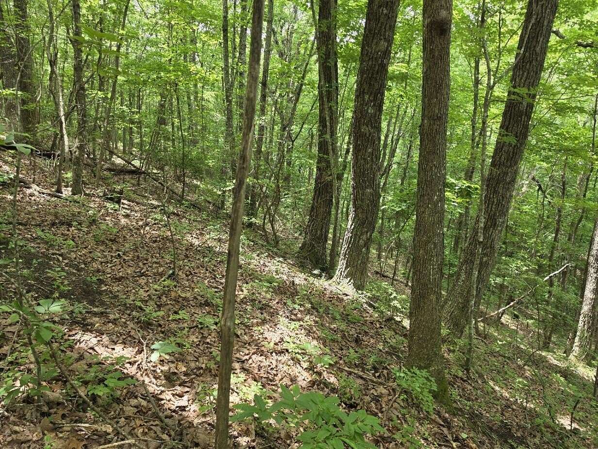 2.86 Acres of Residential Land for Sale in Jasper, Tennessee