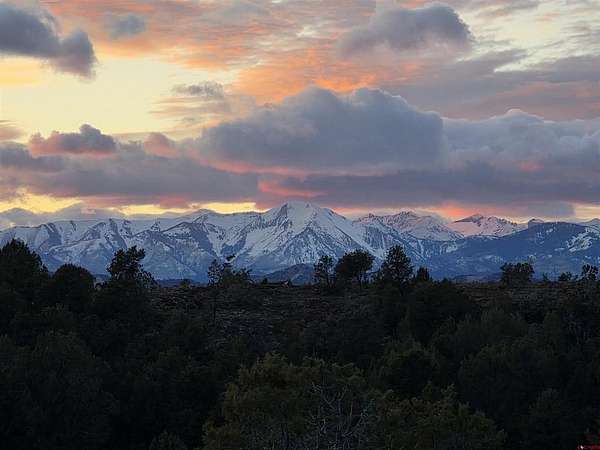 121 Acres of Recreational & Residential Land for Sale in Bayfield, Colorado