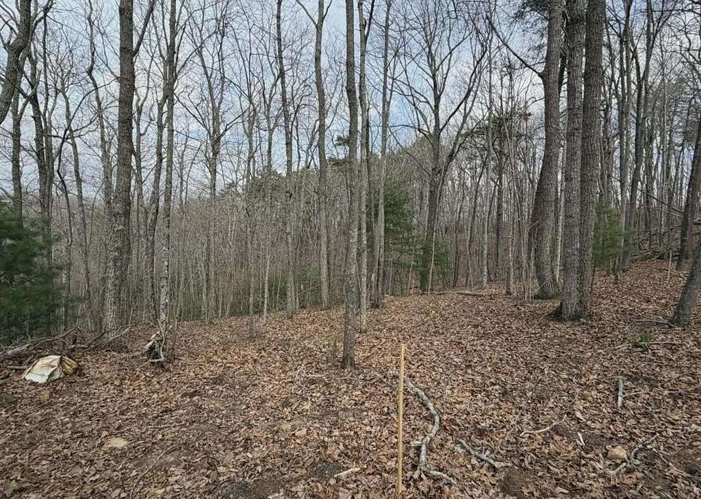 2 Acres of Residential Land for Sale in Blue Ridge, Georgia