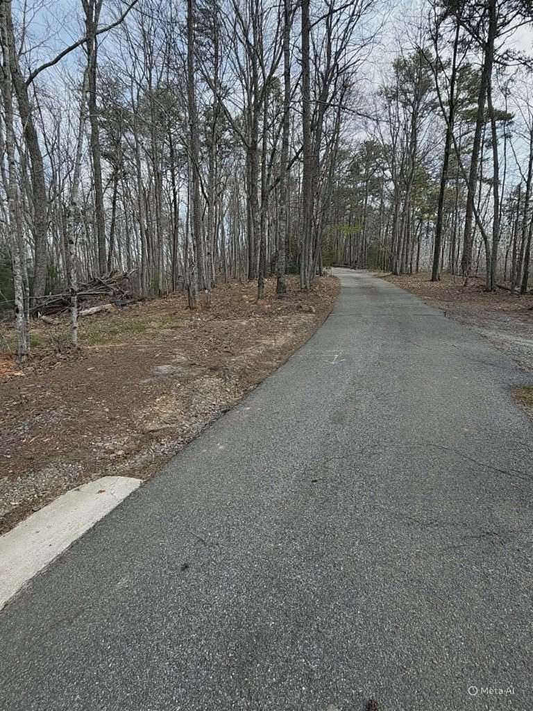 2 Acres of Residential Land for Sale in Blue Ridge, Georgia