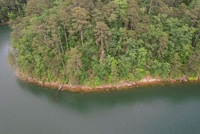 22 Acres of Land for Sale in Arley, Alabama