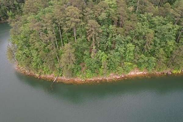 22 Acres of Land for Sale in Arley, Alabama