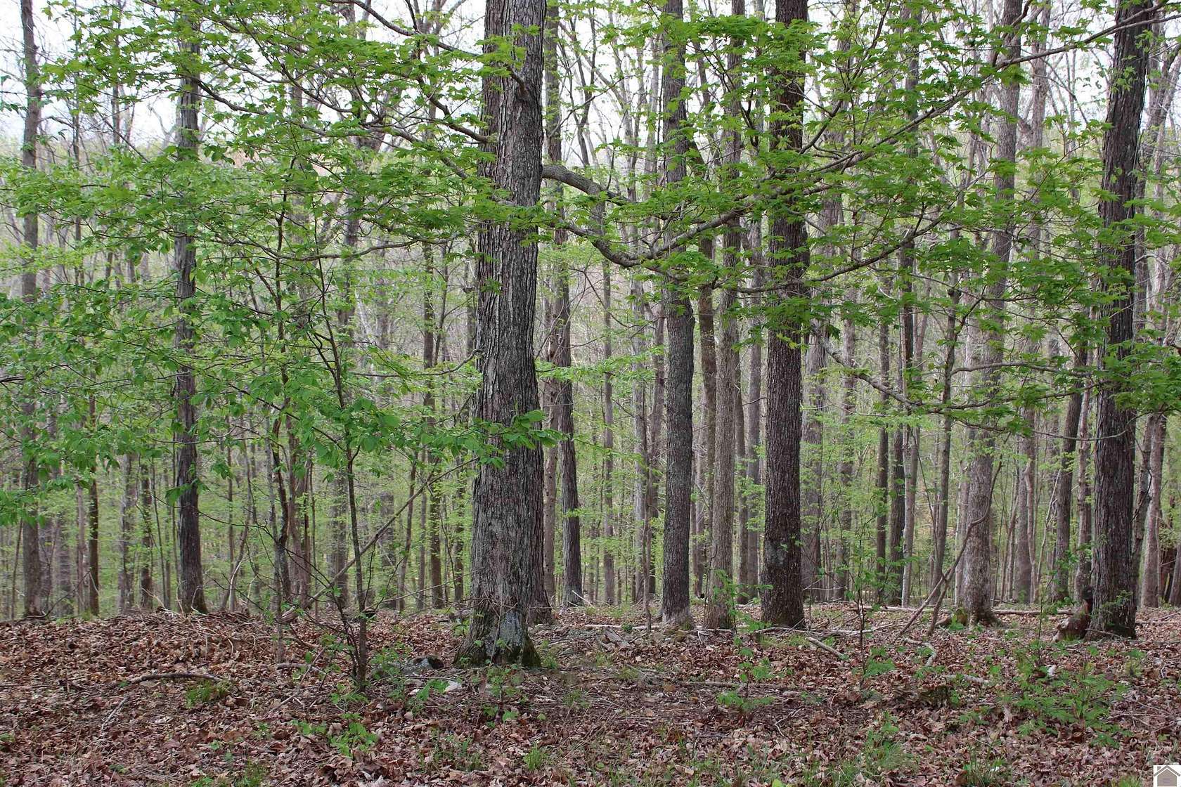 0.57 Acres of Residential Land for Sale in Eddyville, Kentucky