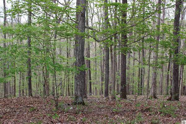 0.57 Acres of Residential Land for Sale in Eddyville, Kentucky