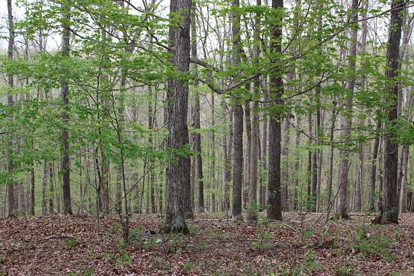 0.57 Acres of Residential Land for Sale in Eddyville, Kentucky