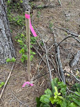 3.22 Acres of Land for Sale in Glenwood, Arkansas
