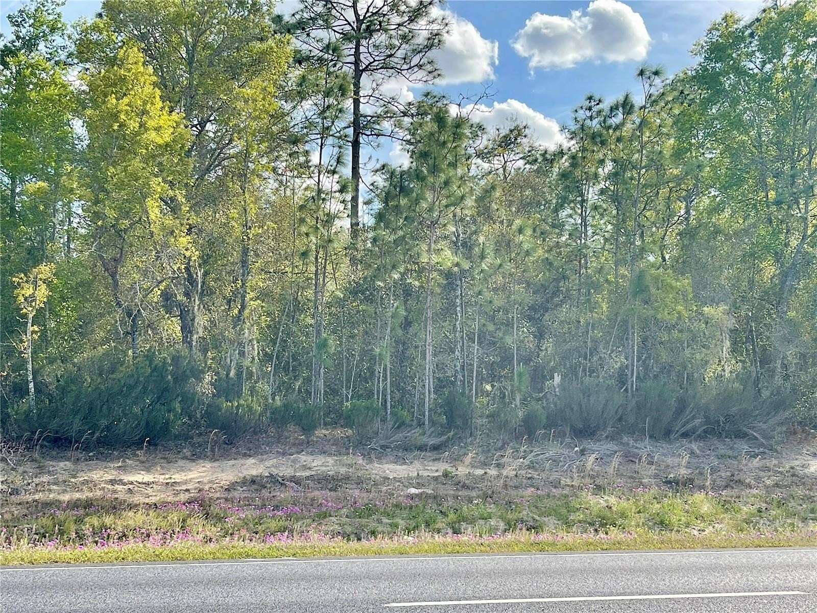 4.78 Acres of Residential Land for Sale in Williston, Florida